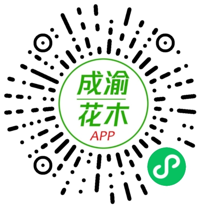 微信公众号二维码